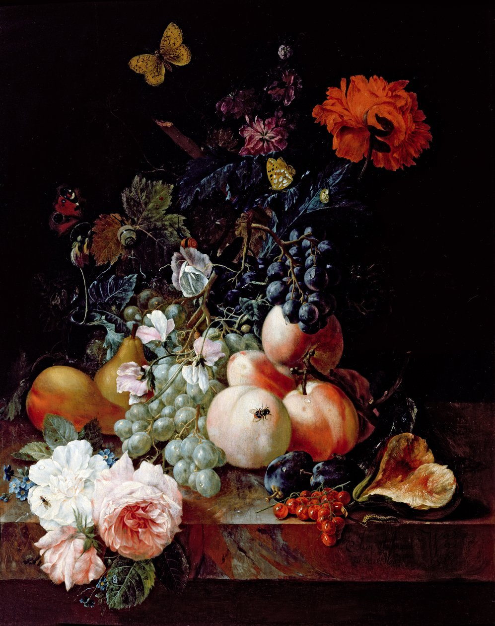 Ainda vida de Johann Amandus Winck