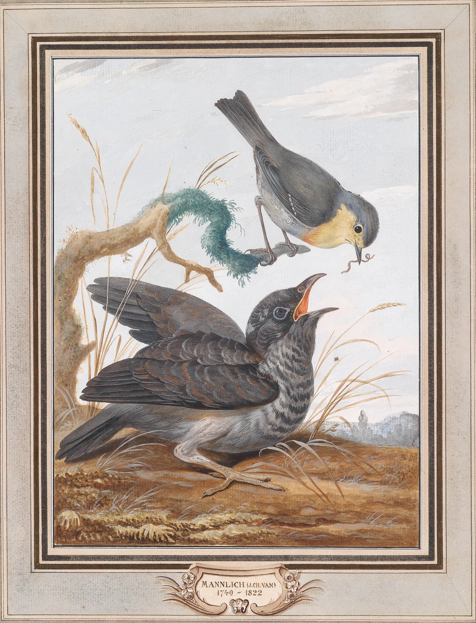 Um cuco é alimentado por um robin de Johann Christian von Mannlich
