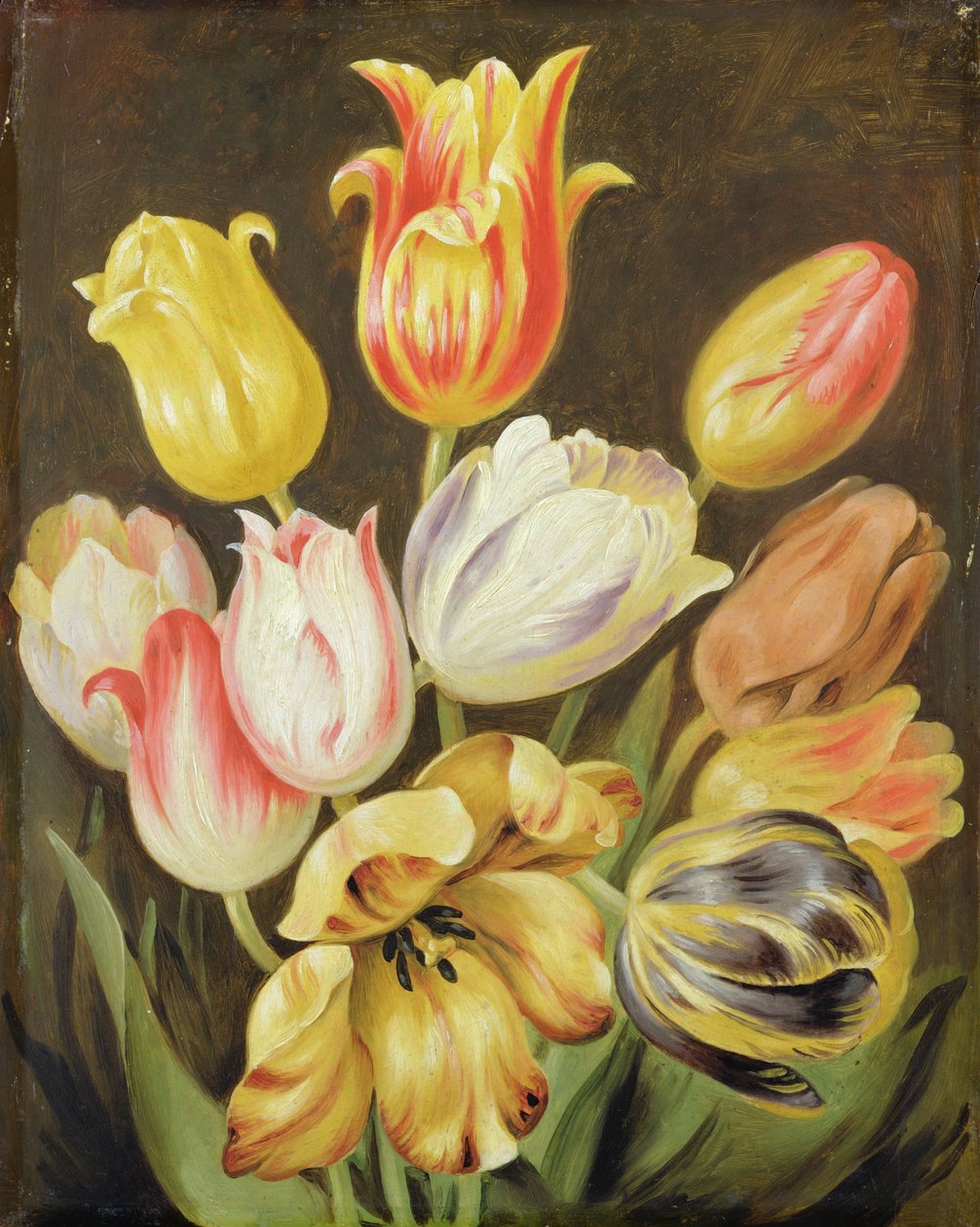 Estudo da flor de Johann Friedrich August Tischbein