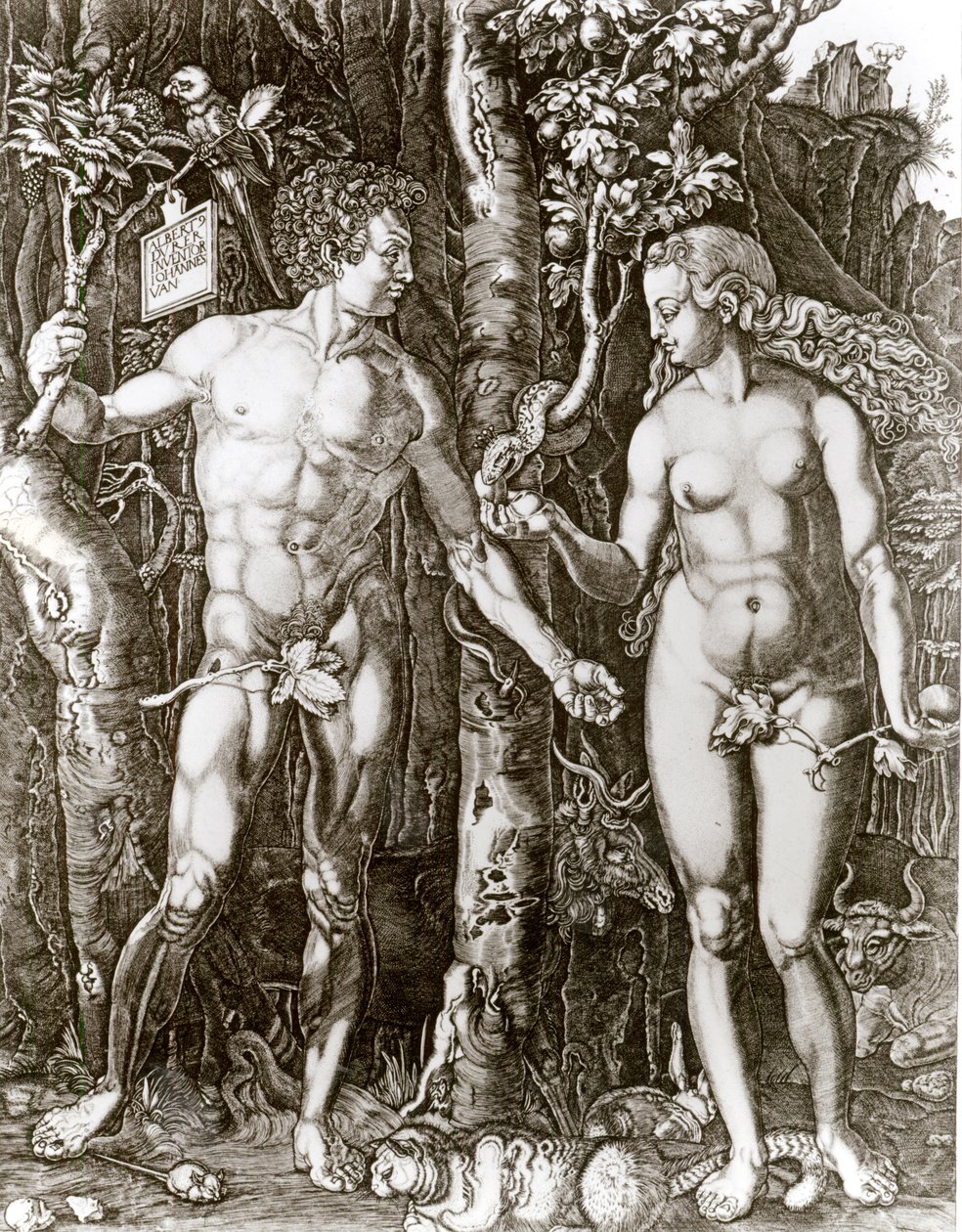 Adão e Eva, depois de Albrecht Durer (1471-1528) de Johann Ladenspelder