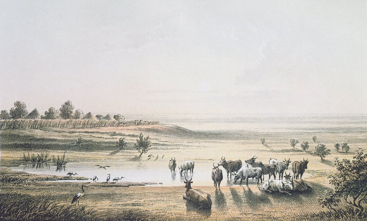 As Fronteiras do Chade em 1851, de "Viagens e Descobertas na África do Norte e Central" por Heinrich Barth, gravado por J. Woelfjle, publicado em 1857 (gravura colorida) de Johann Martin Bernatz