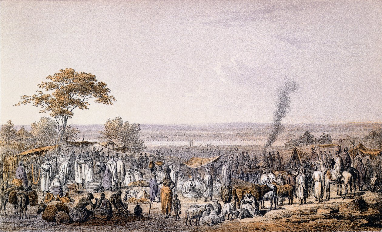 O Mercado em Sokoto em 1853, de "Viagens e Descobertas na África do Norte e Central" por Heinrich Barth (1821-65) gravado por Eberhard Emminger (1808-1885) publicou 1857 (gravura colorida) de Johann Martin Bernatz
