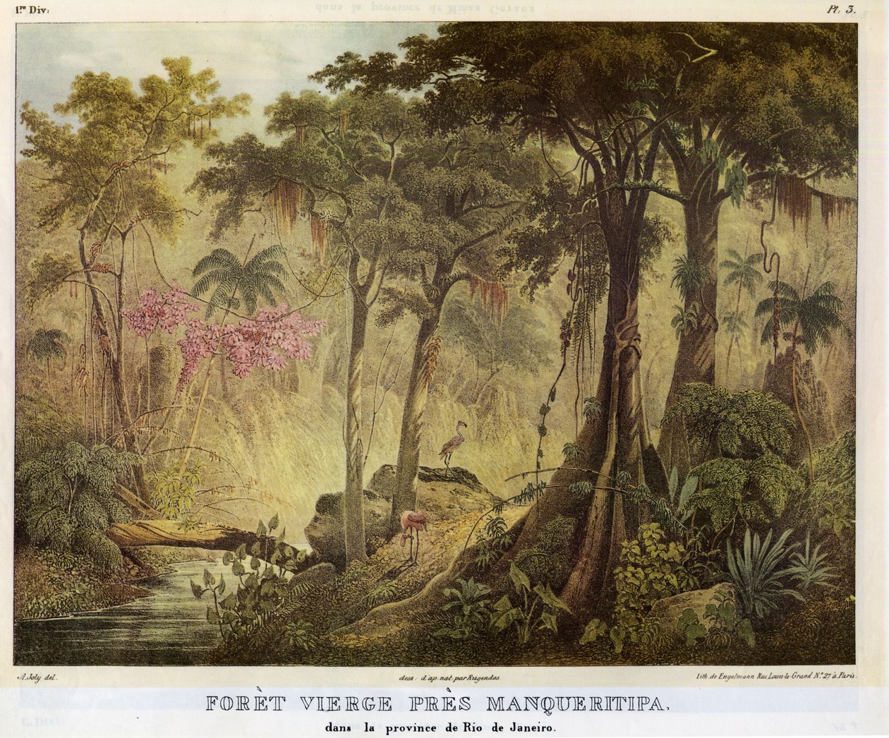 Floresta virgem perto de Manqueritipa de Johann Moritz Rugendas
