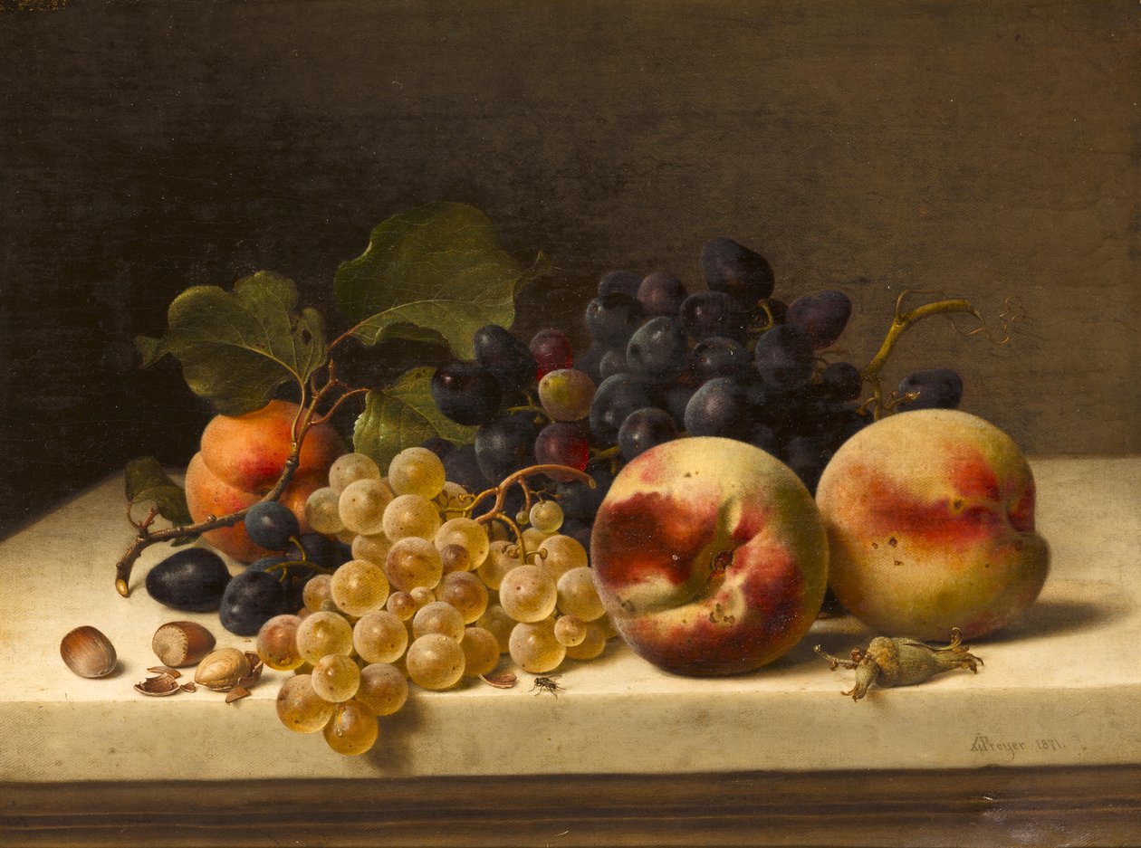 Ainda vida com ameixas, uvas e avelãs de Johann Wilhelm Preyer