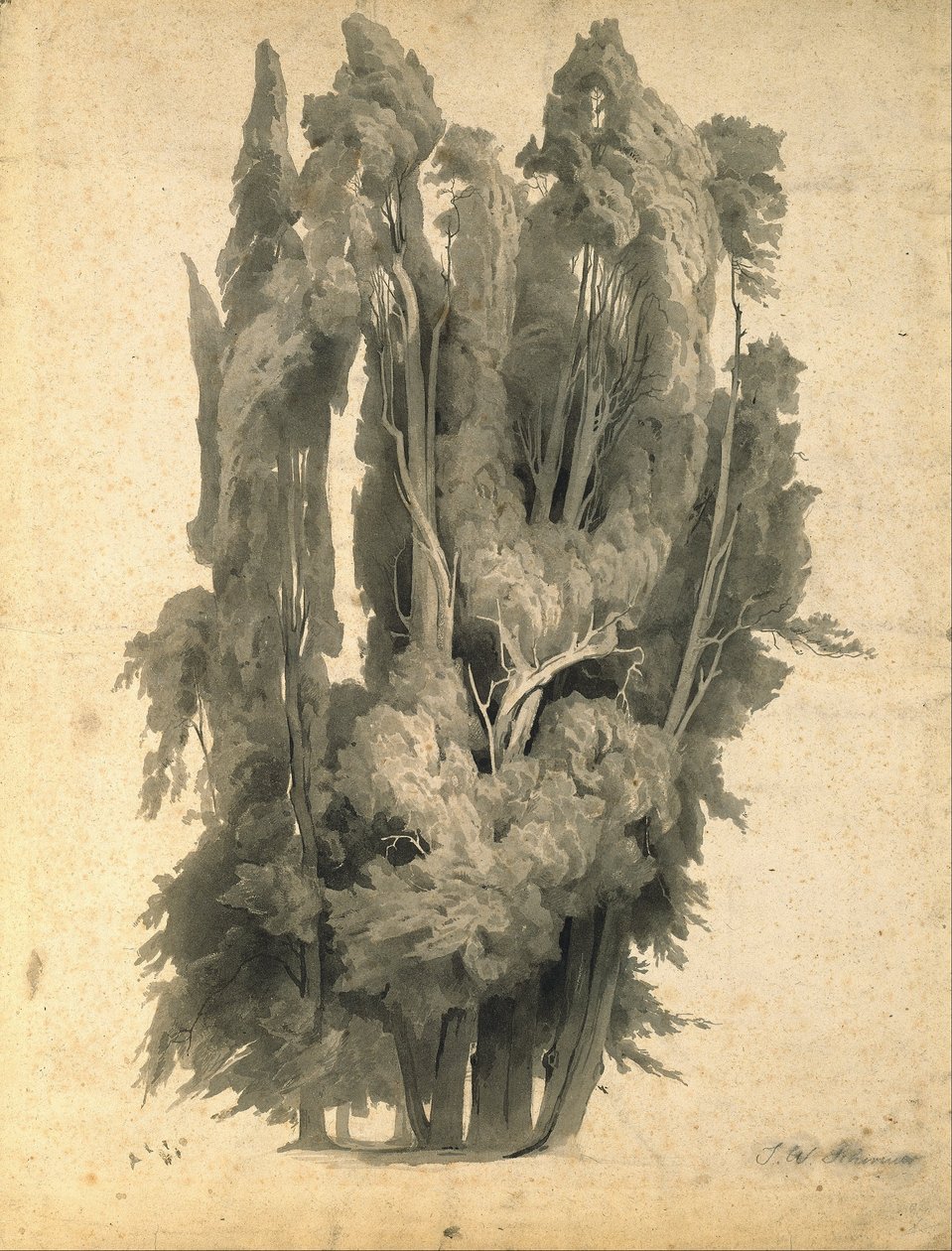 Ciprestes no parque em Villa d&39;Este em Tivoli de Johann Wilhelm Schirmer