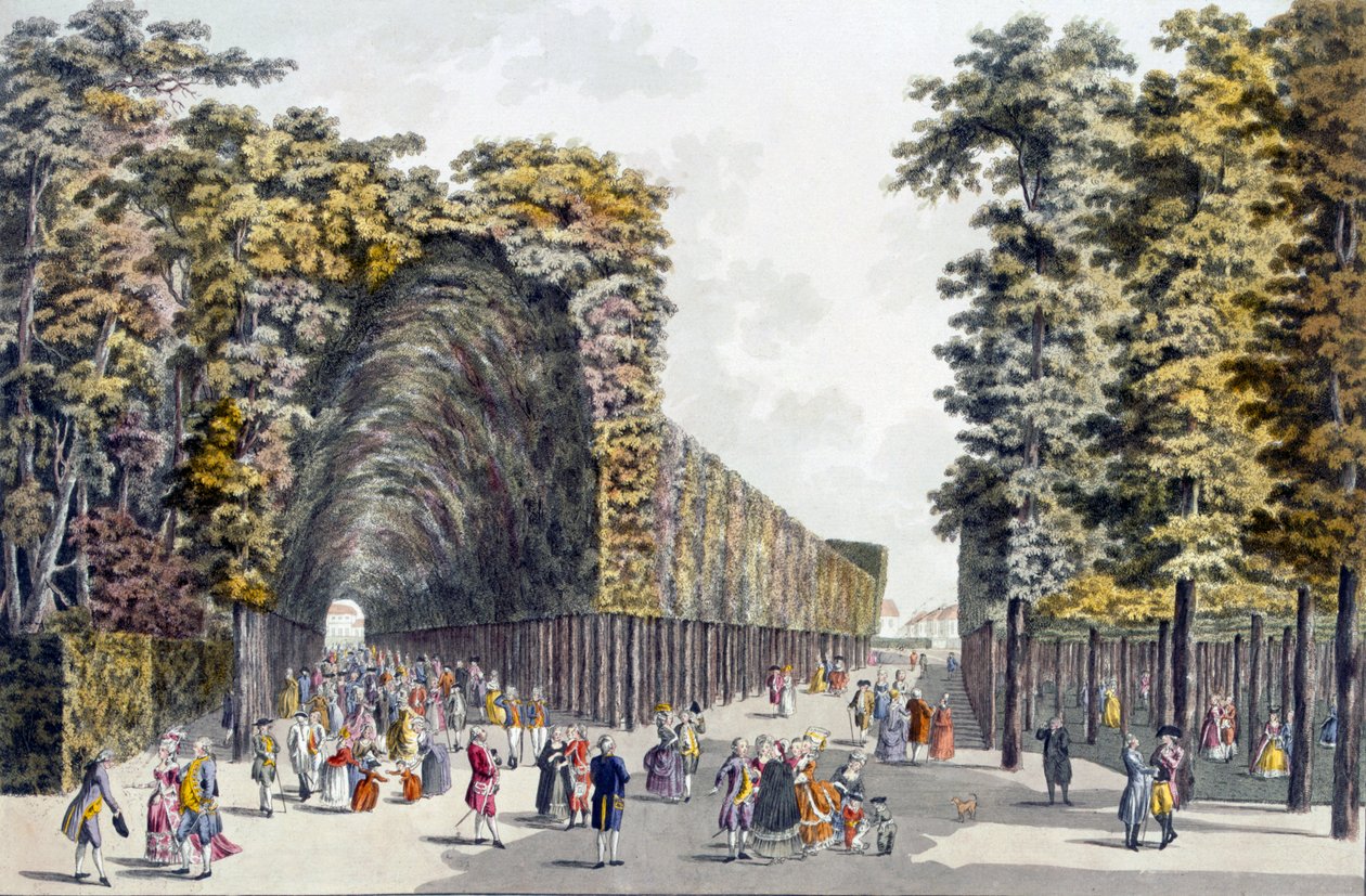 Limegrove Walk, Augarten, Viena, de 1790 de Johann Ziegler