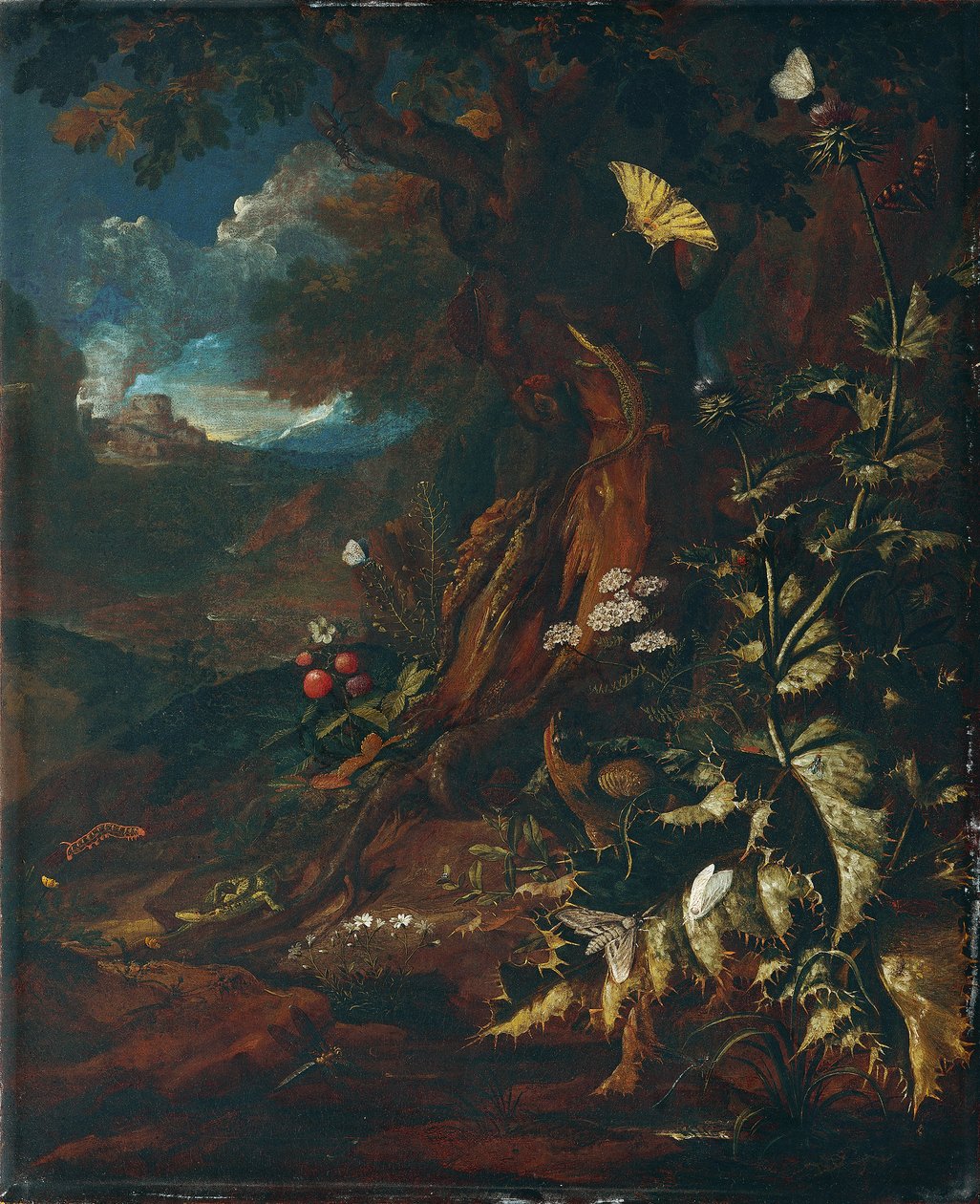 Paisagem com répteis e insectos (I) de Johann Adalbert Angermayer