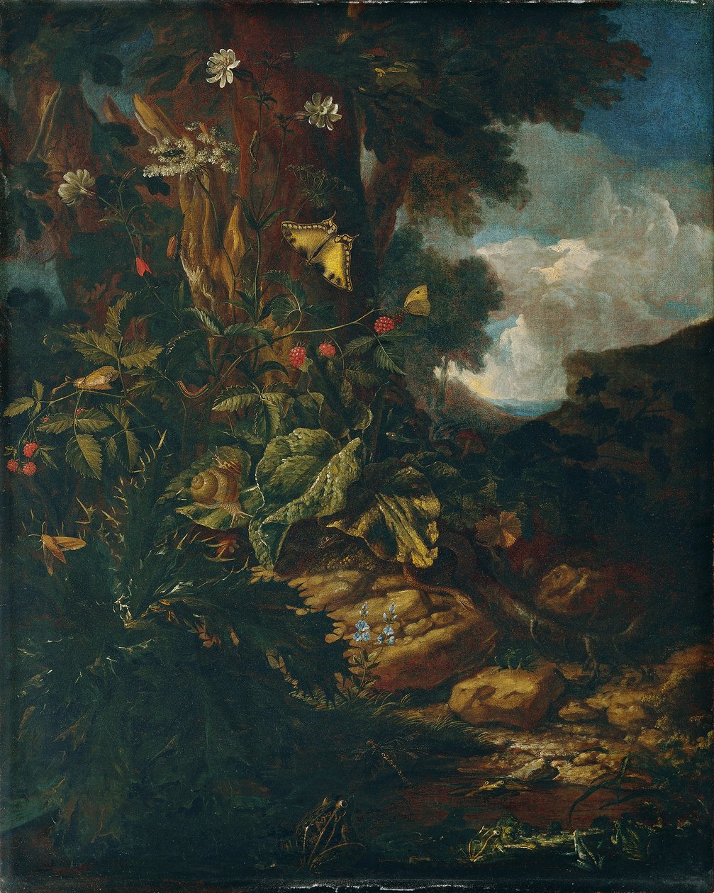 Paisagem com répteis e insetos (II) de Johann Adalbert Angermayer