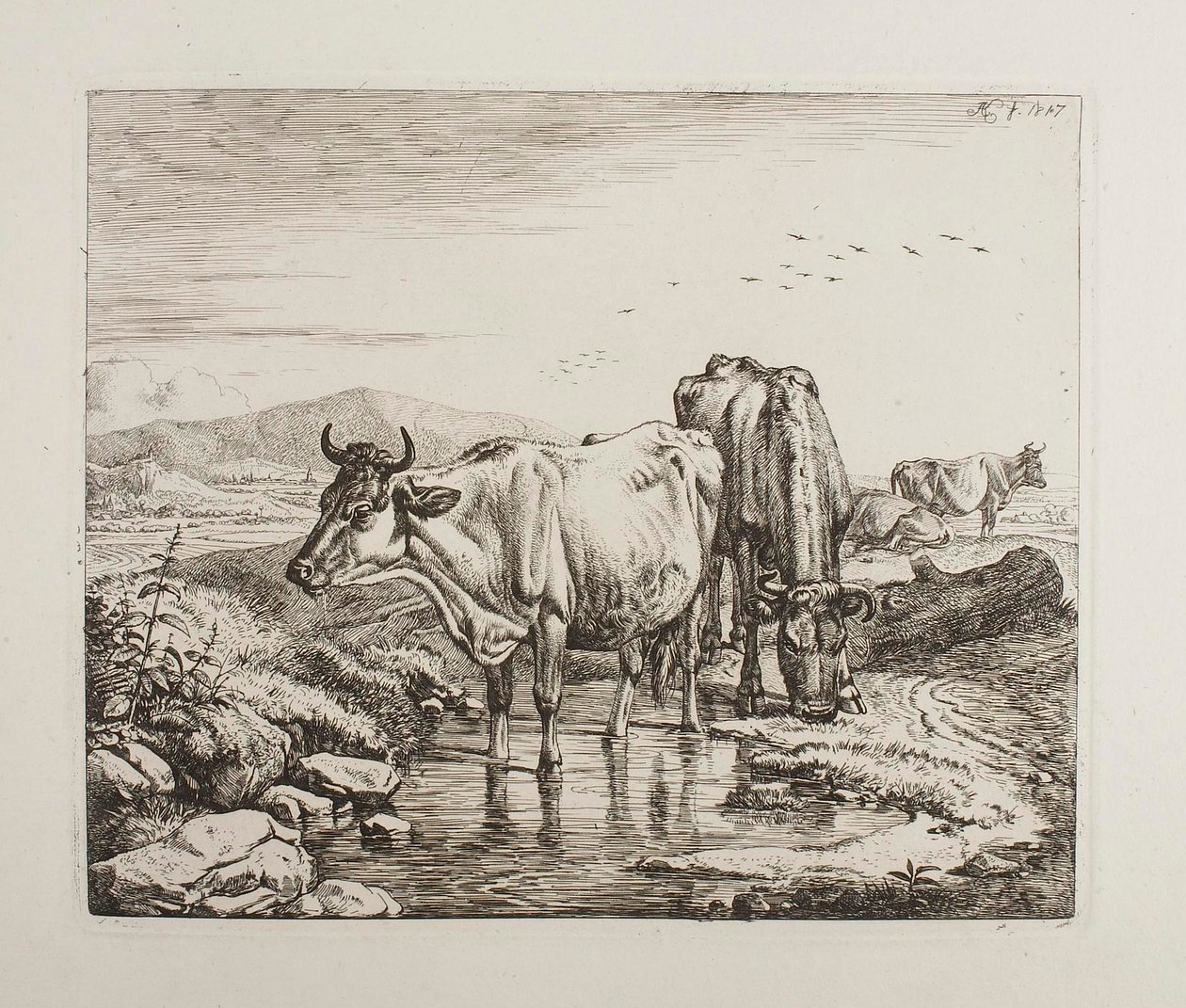 Gado junto a um bebedouro de Johann Adam Klein