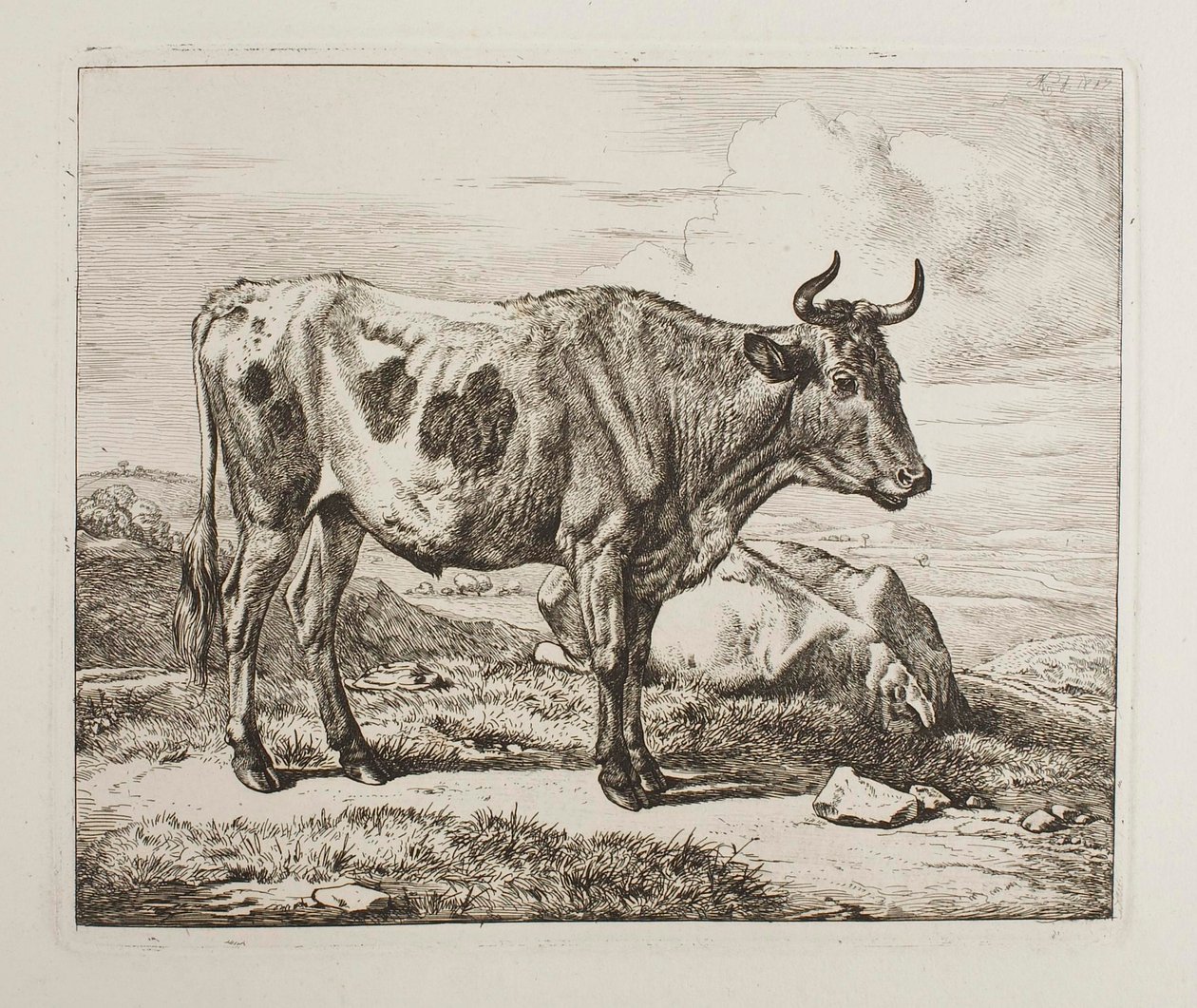 Gado no campo de Johann Adam Klein