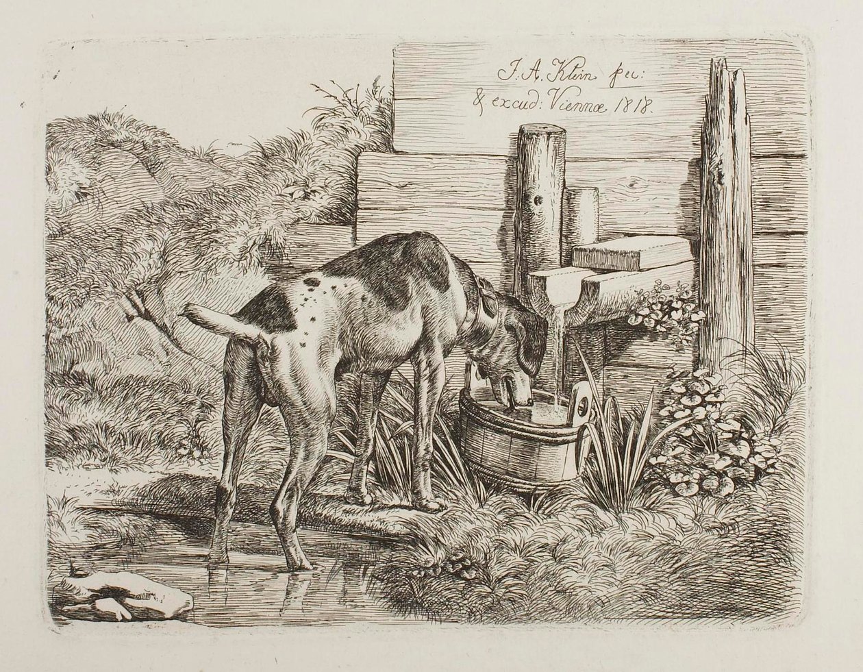 Água para cães de Johann Adam Klein