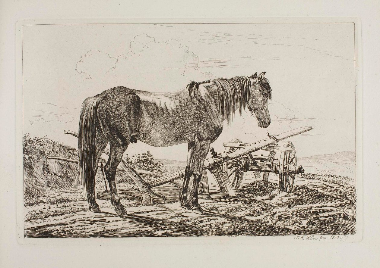 Cavalo junto a um arado de Johann Adam Klein