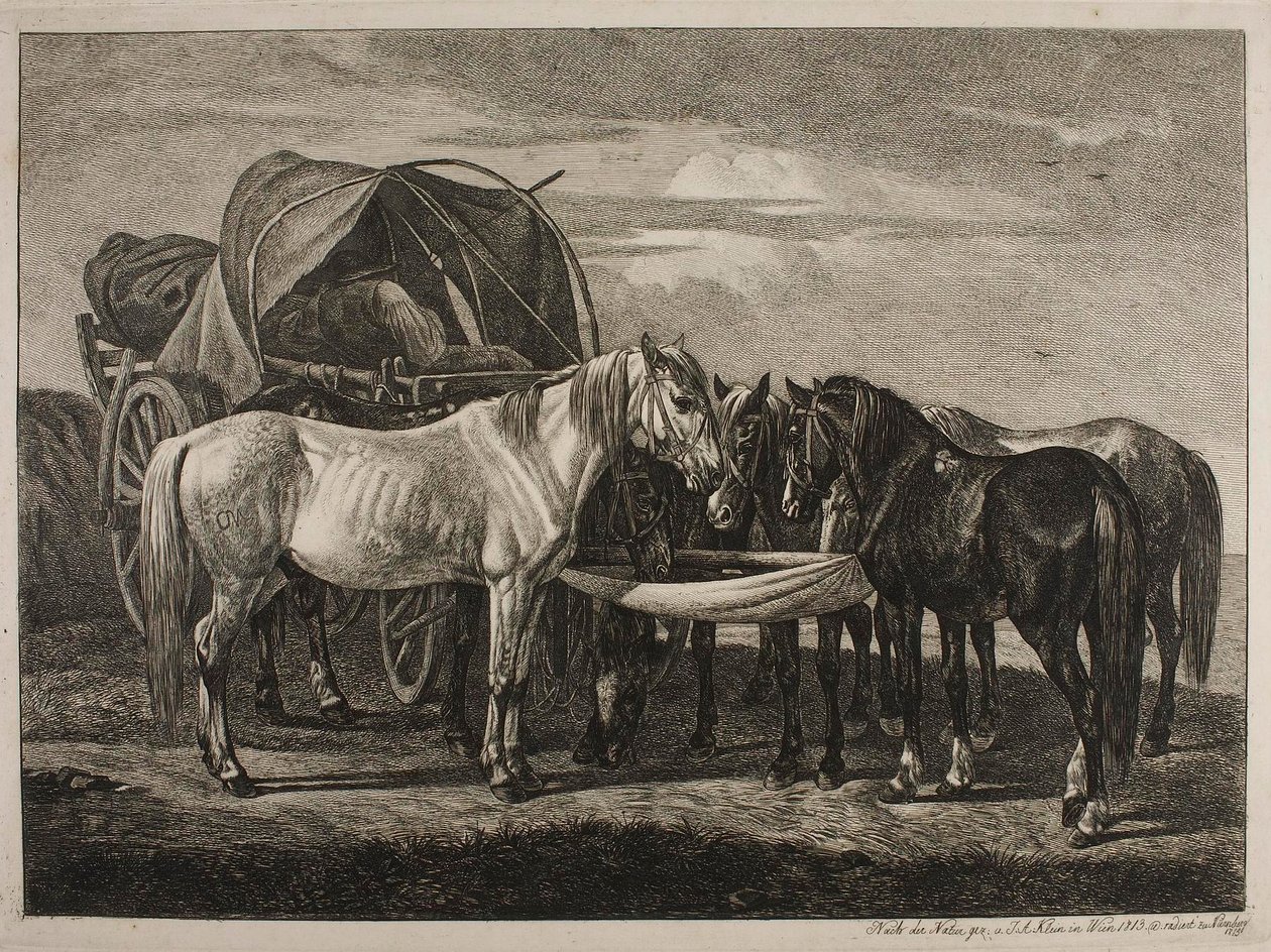Cavalos junto a uma carroça húngara de Johann Adam Klein