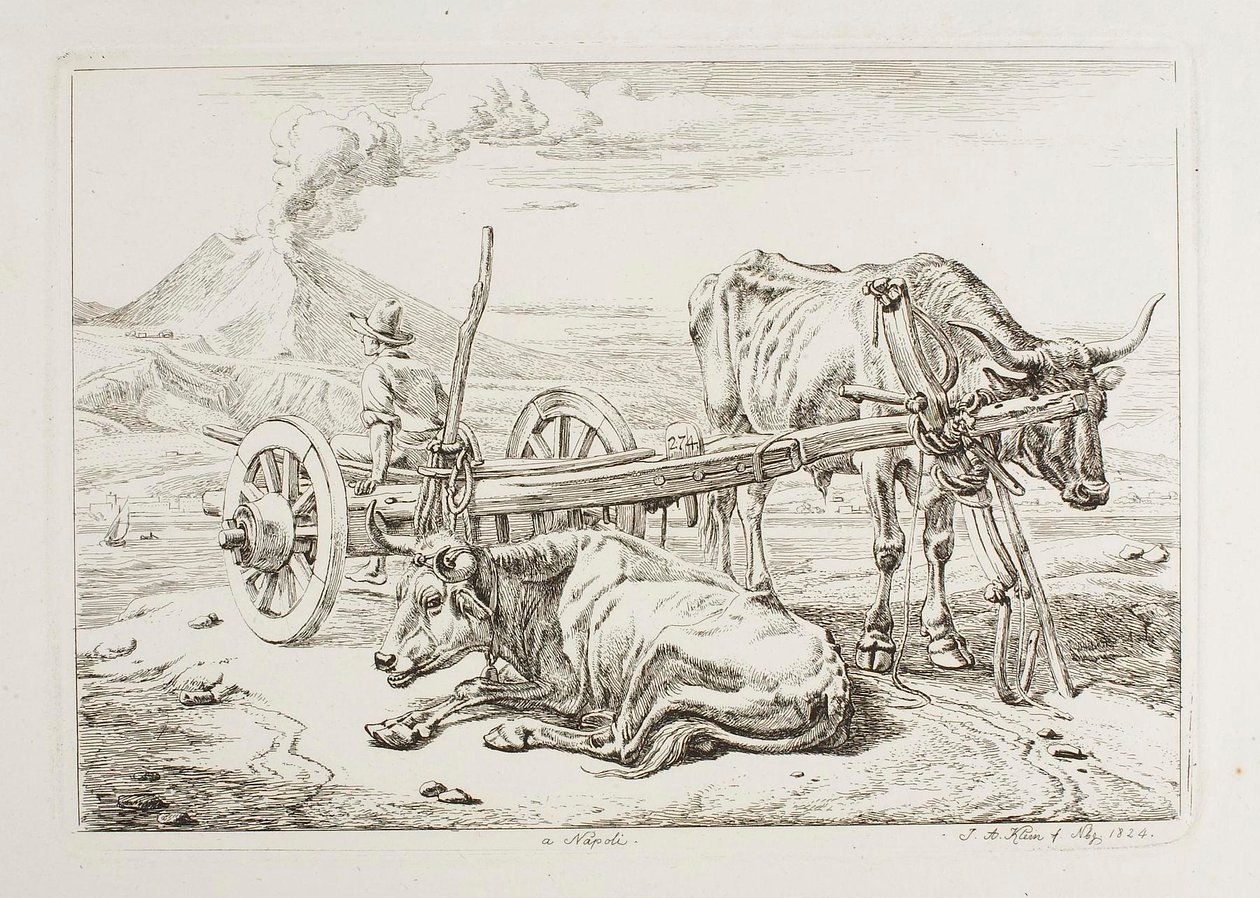 Em Nápoles (bois e uma carroça em Nápoles) de Johann Adam Klein