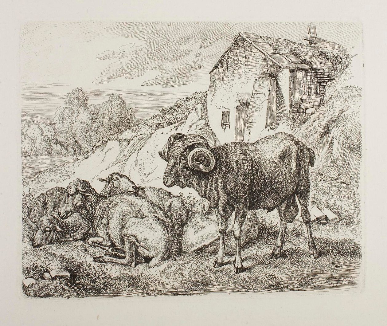 Carneiro e ovelha atrás de uma casa de Johann Adam Klein