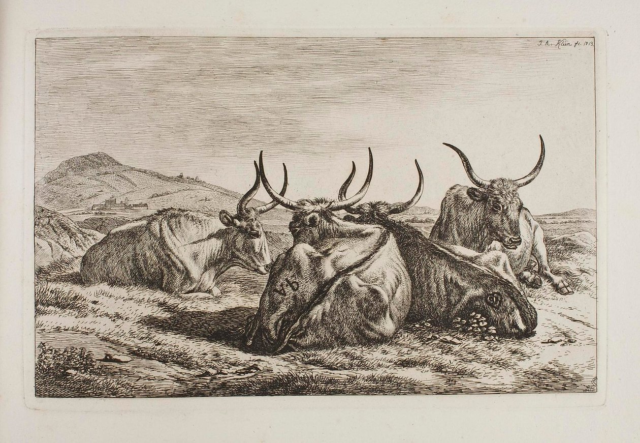 Bois deitados de Johann Adam Klein