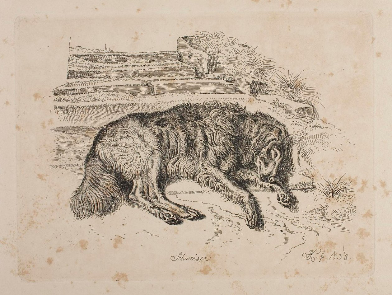 Schweizer, um cão de Johann Adam Klein