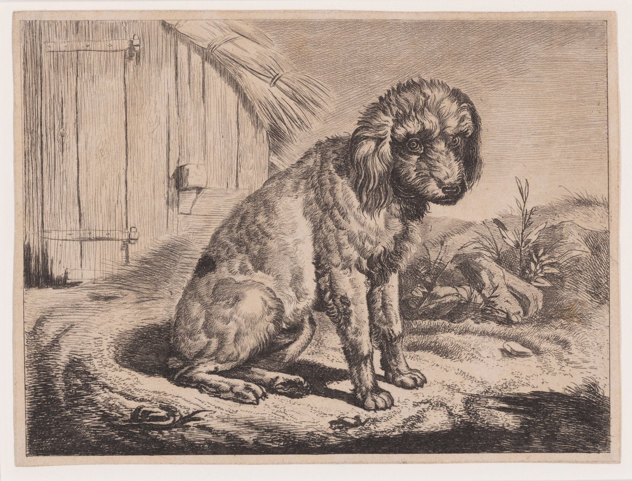 Cão sentado de Johann Adam Klein