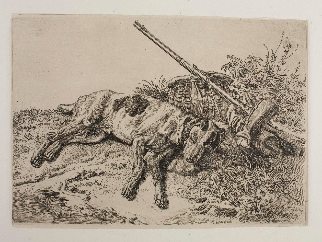 Cão a dormir de Johann Adam Klein