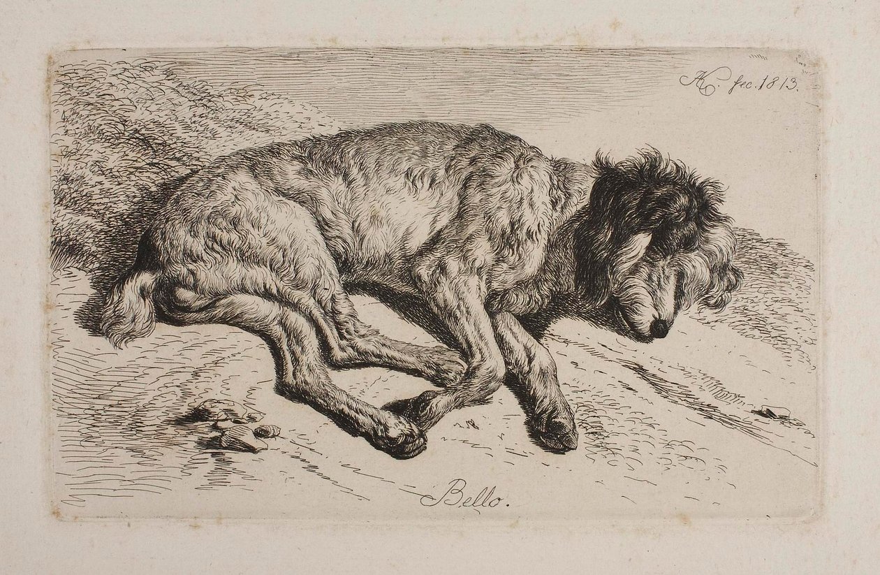 Cão adormecido, Bello de Johann Adam Klein