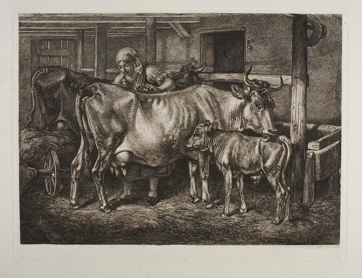 As vacas a serem tratadas de Johann Adam Klein