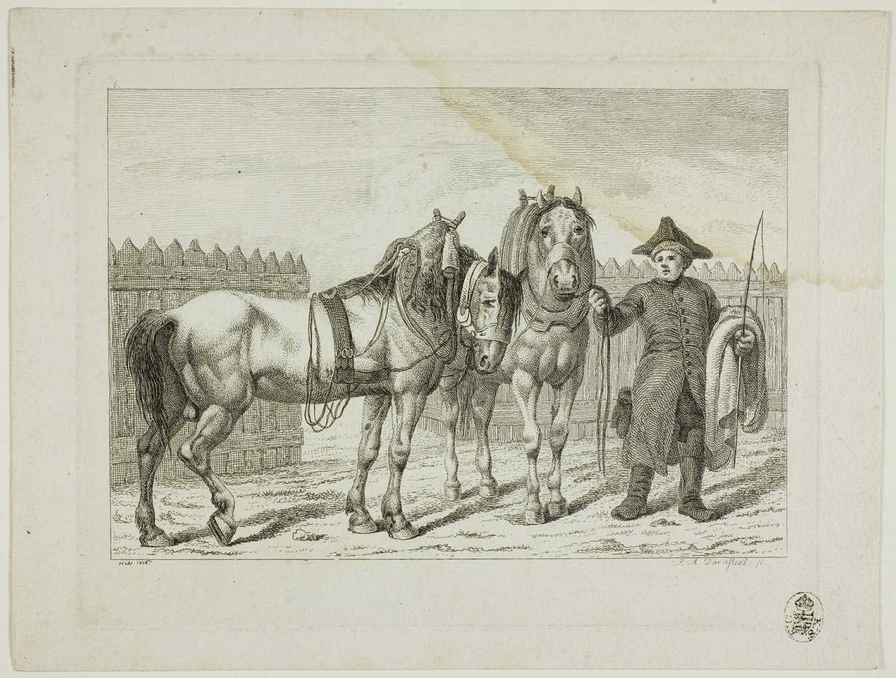 Escola de equitação e cavalos de Johann Adolph Darnstedt