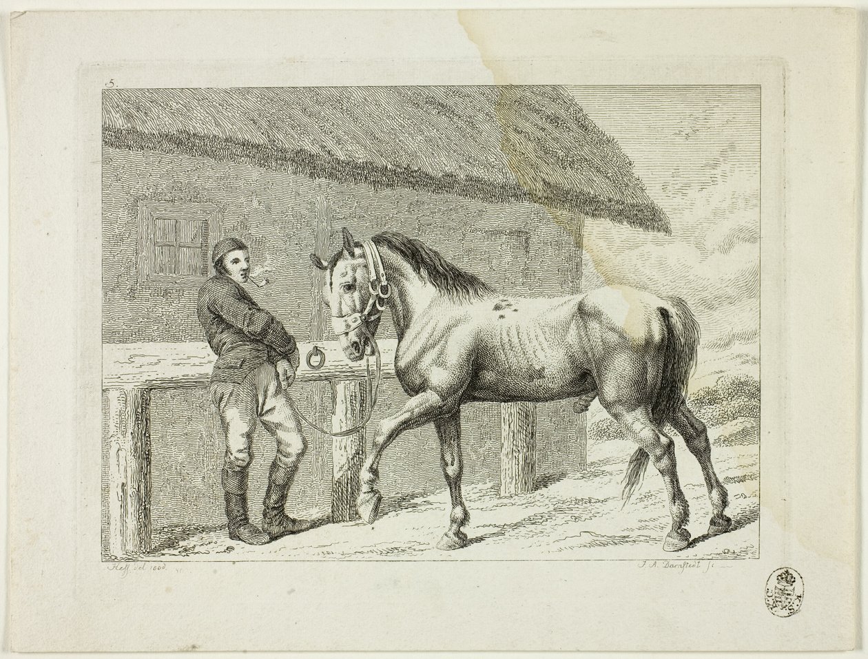 Escola de equitação e cavalos de Johann Adolph Darnstedt