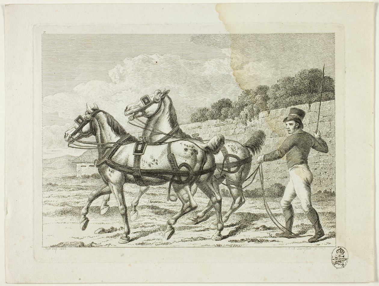 Escola de equitação e cavalos de Johann Adolph Darnstedt