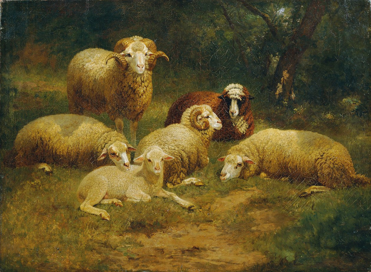 ovelha de Johann Baptist Hofner