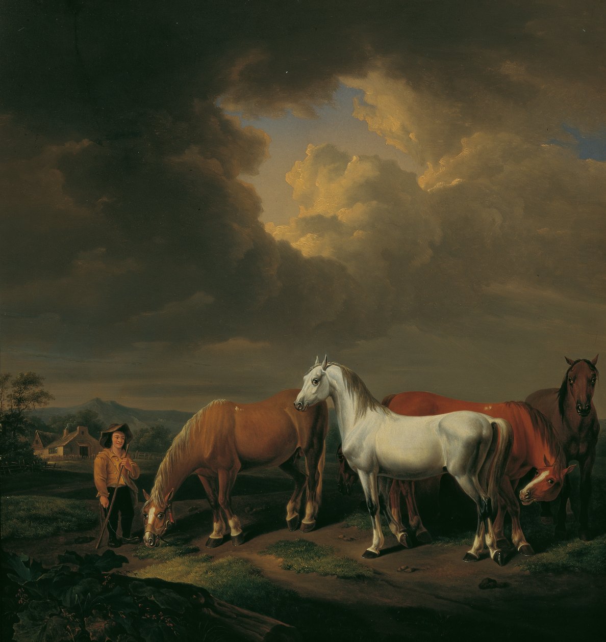 Cinco cavalos de fazenda de Johann Baptist Michael Dallinger von Dalling