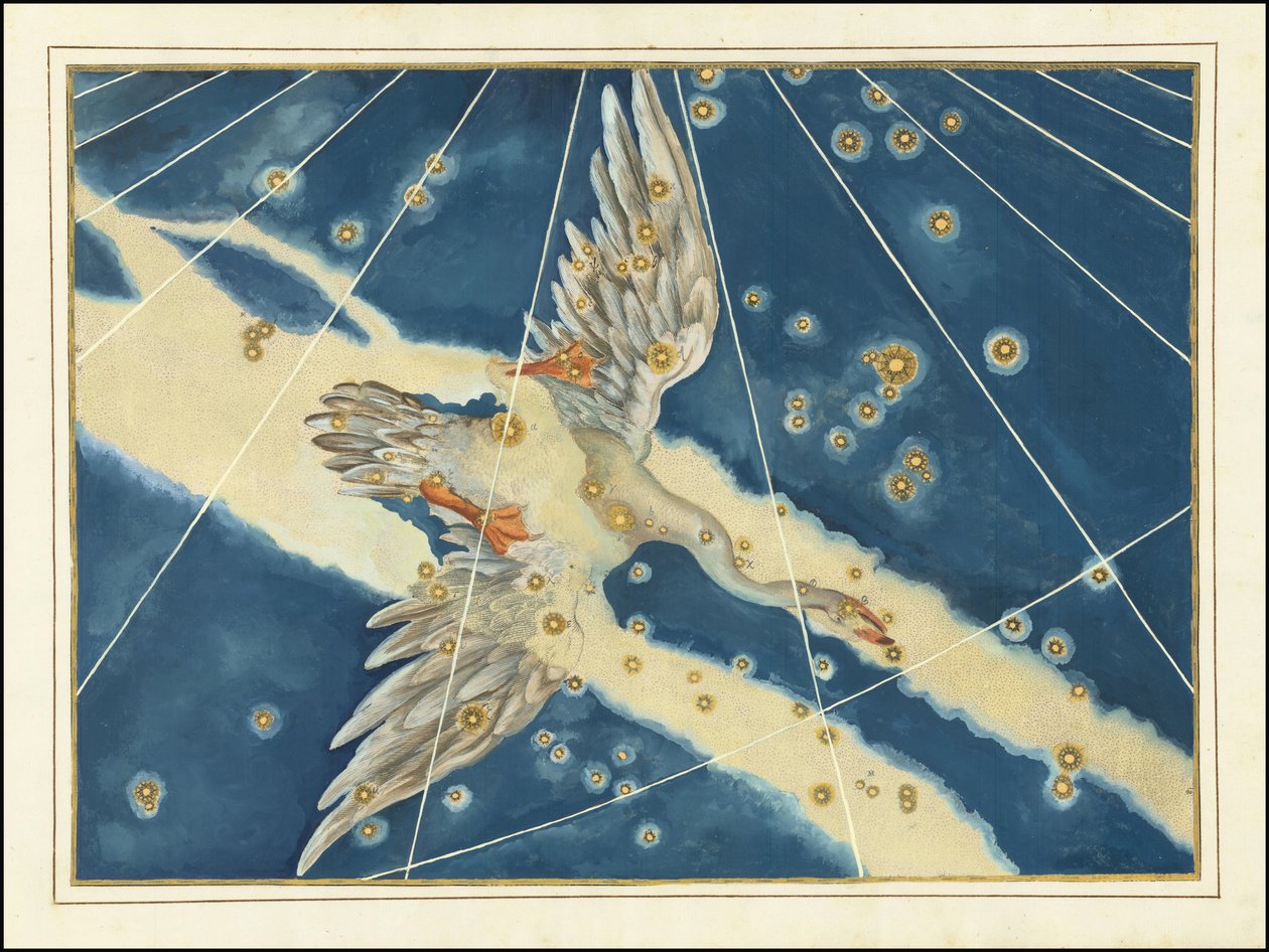 Johann Bayer - Cygnus de Johann Bayer