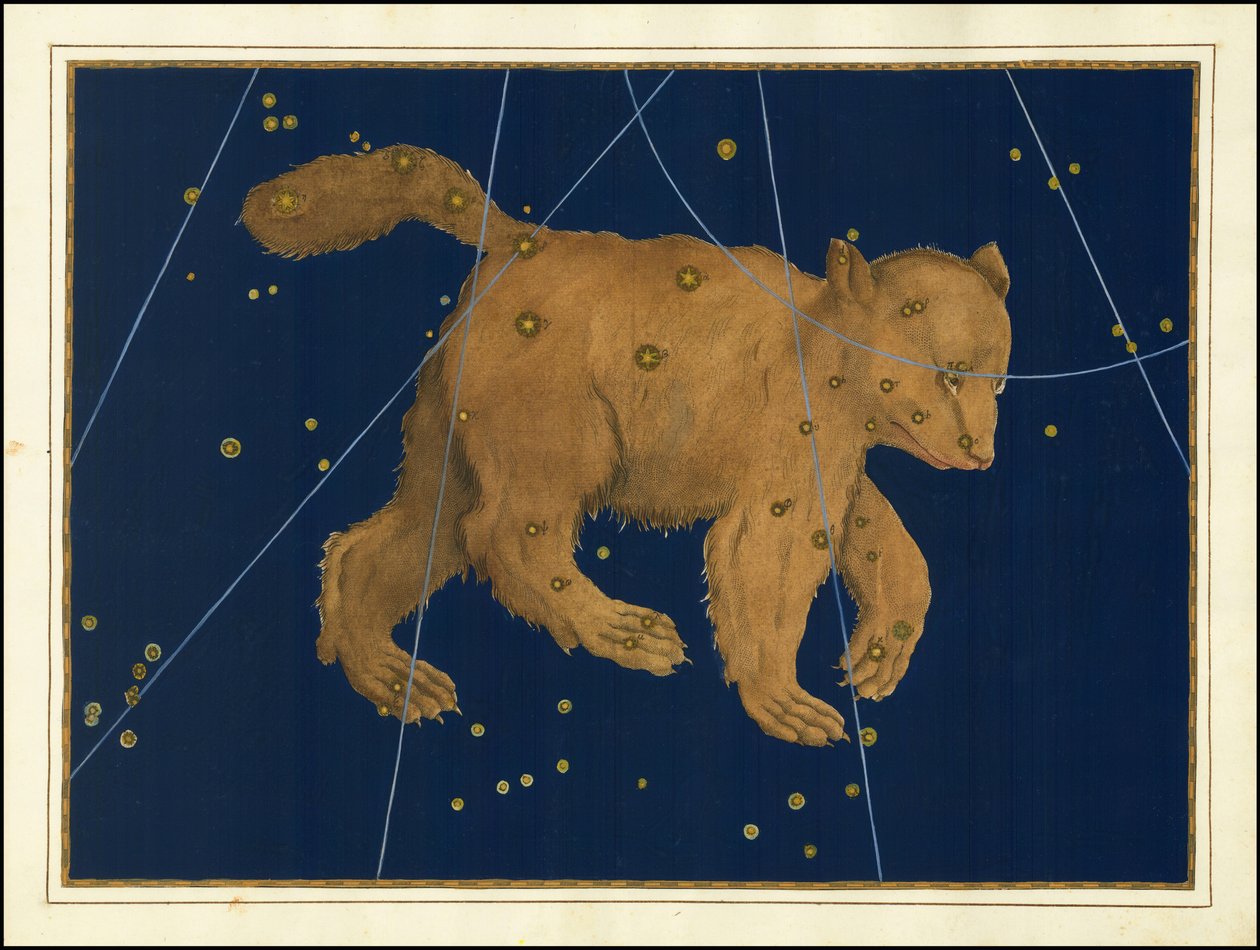 Johann Bayer, Ursa Maior de Johann Bayer