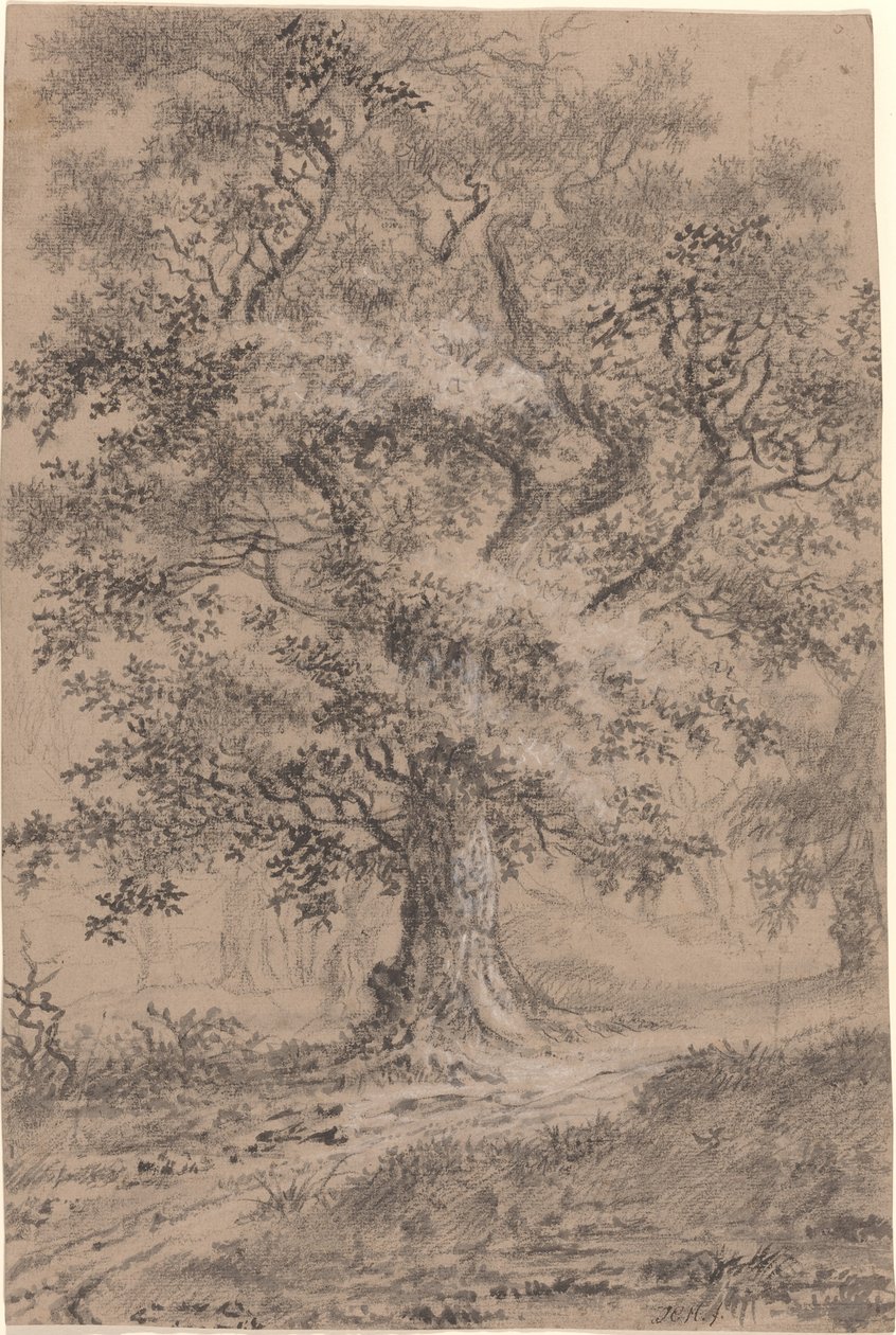 Um carvalho frondoso por um caminho de floresta de Johann Caspar Huber