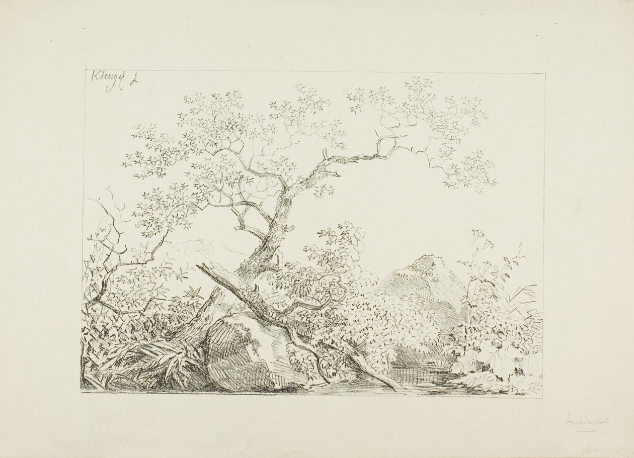 Árvores e rochas por água de Johann Christian Klengel