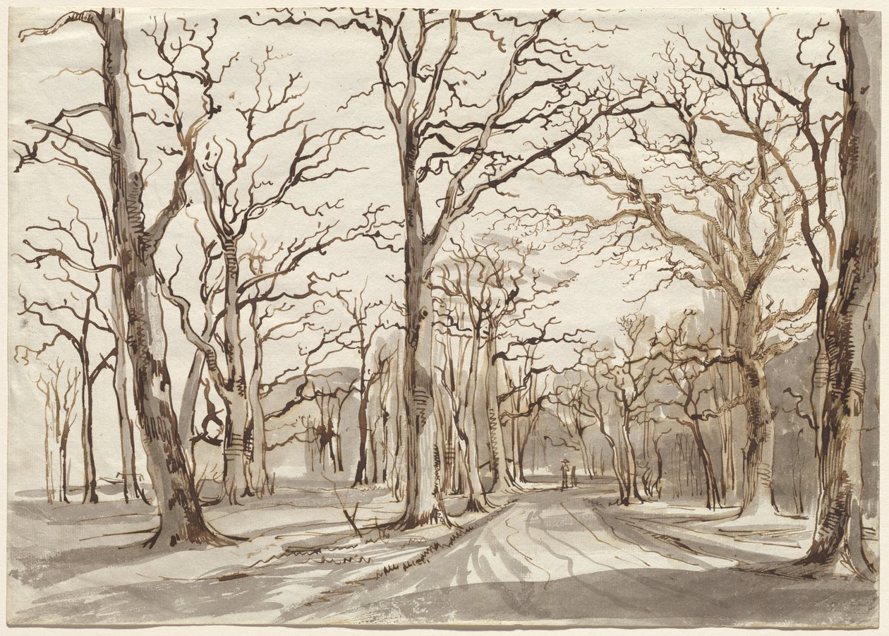 Um caminho da floresta em Rosenthal no inverno de Johann Christian Reinhart