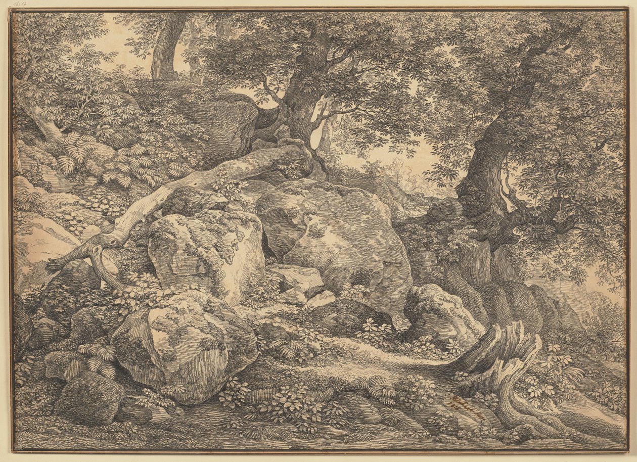 Encosta com blocos rochosos e oliveiras no parque dos príncipes Chigi em Ariccia de Johann Christian Reinhart