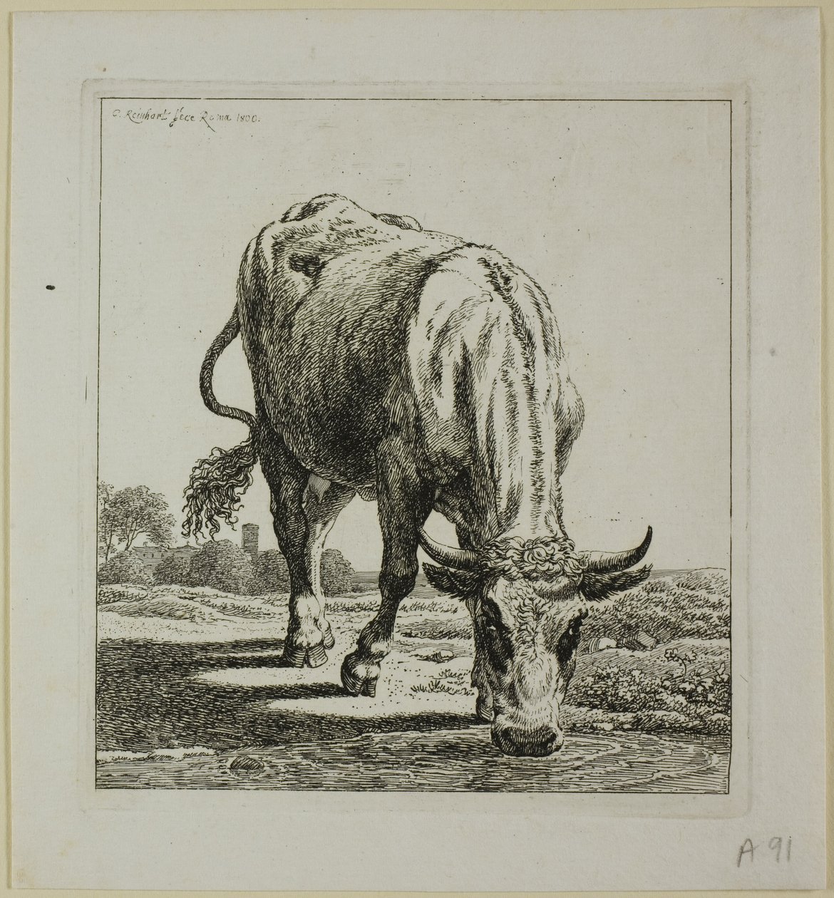 Beber Vaca, de Die Zweite Thiernahme de Johann Christian Reinhart