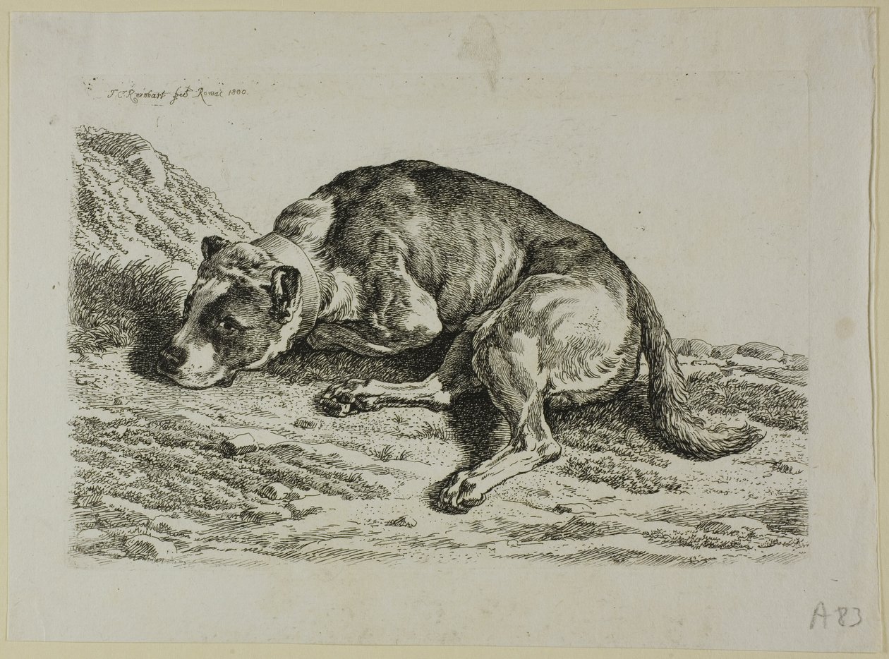 Cachorro Deitado, de A Segunda Sucessão do Ladrão de Johann Christian Reinhart