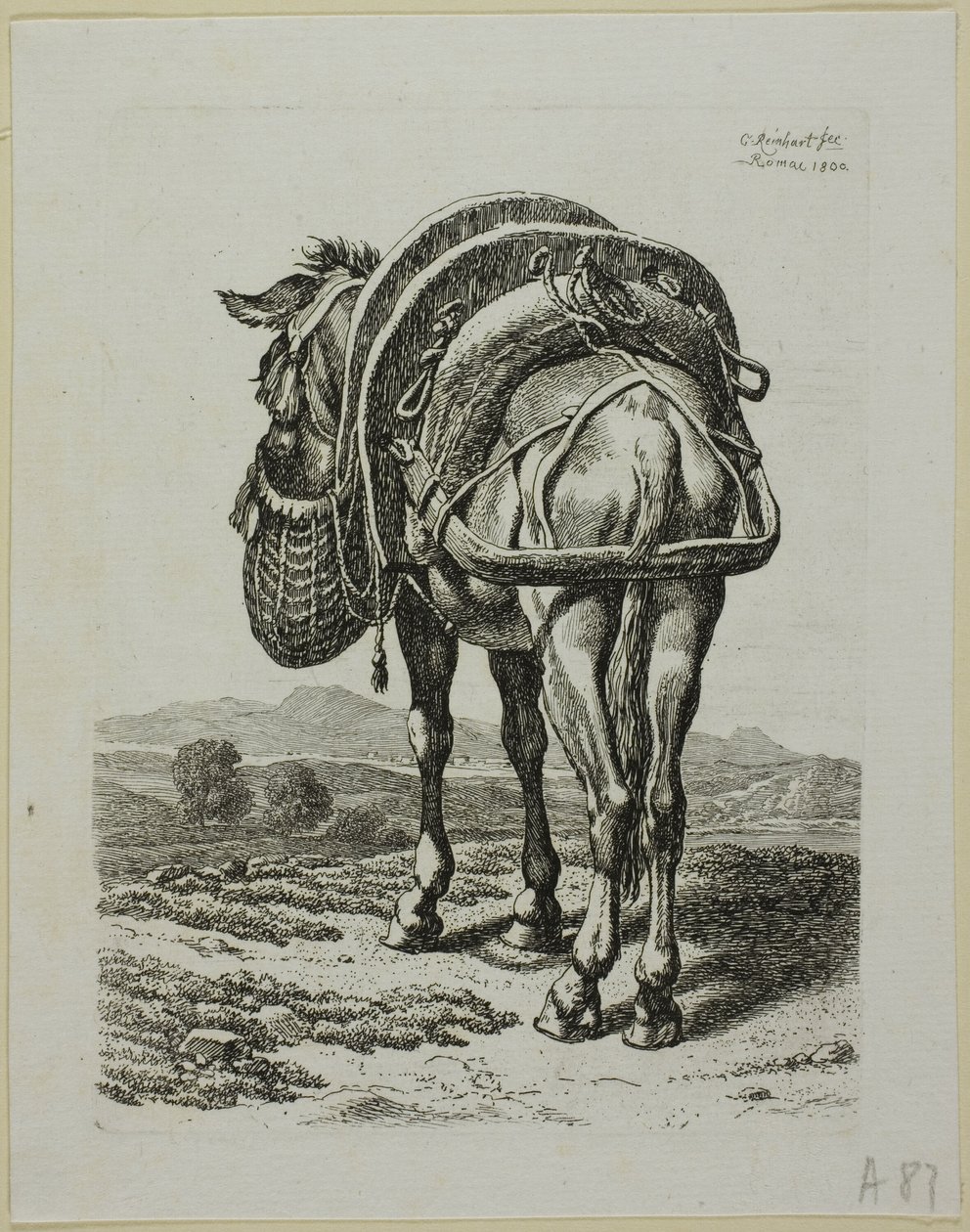 Mula Alimentadora - Traseira, da Segunda Sucessão de Ladrões de Johann Christian Reinhart