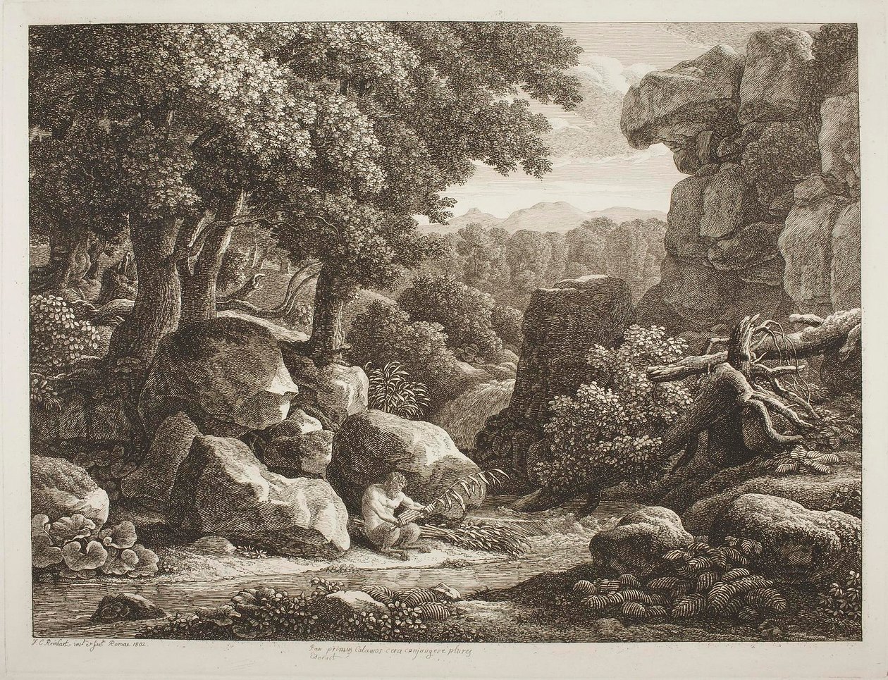 Paisagem florestal de Johann Christian Reinhart