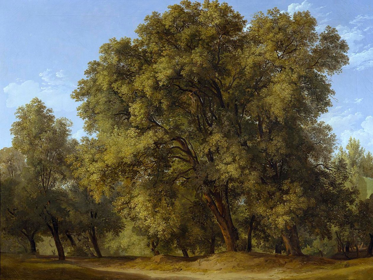 Cena de floresta de Johann Christian Reinhart