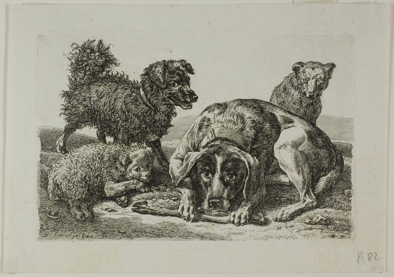 Quatro Cães, de Die Zweite Thier Folge de Johann Christian Reinhart