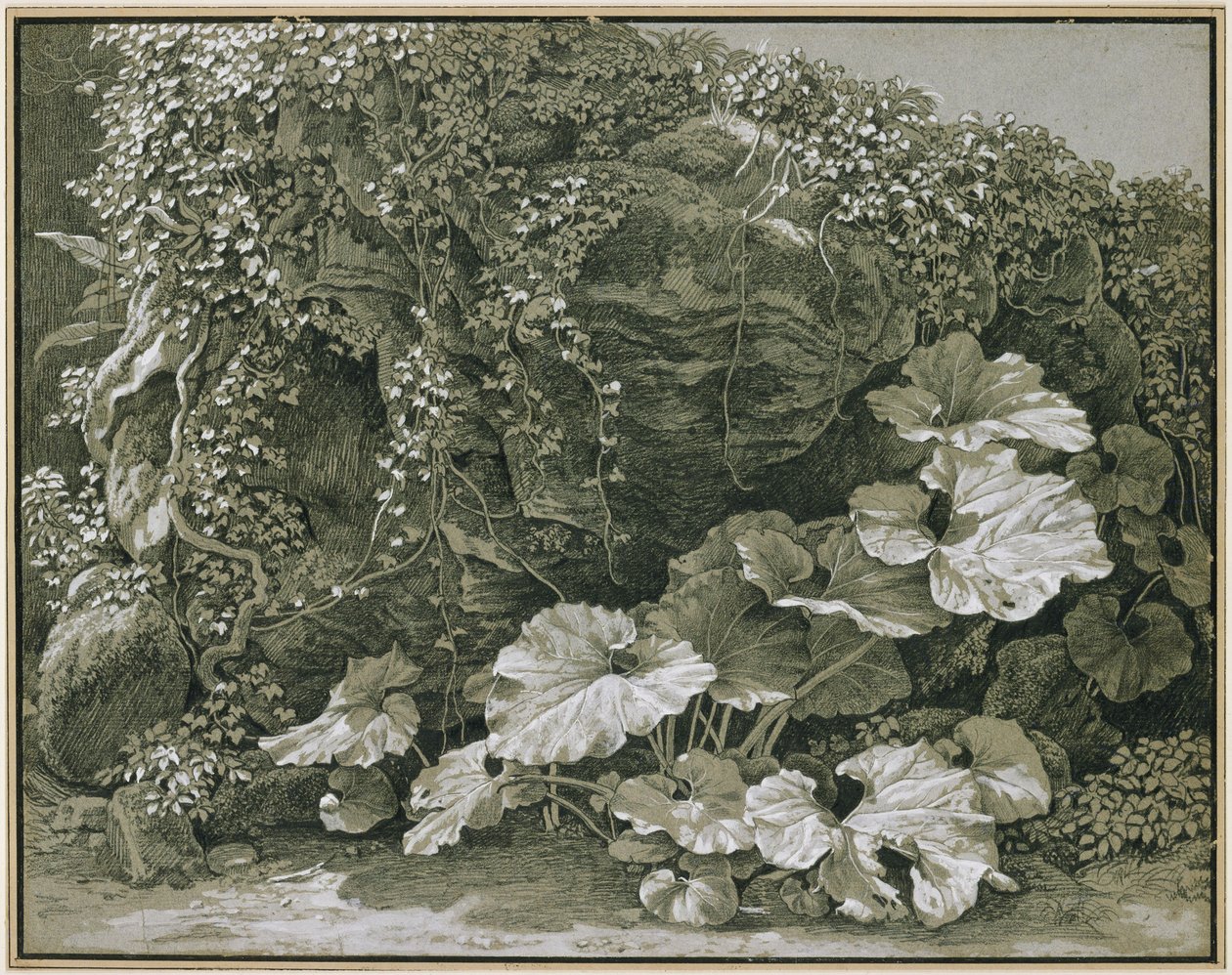 Plantas de folhas grandes junto a uma gruta rochosa coberta de hera de Johann Christian Reinhart