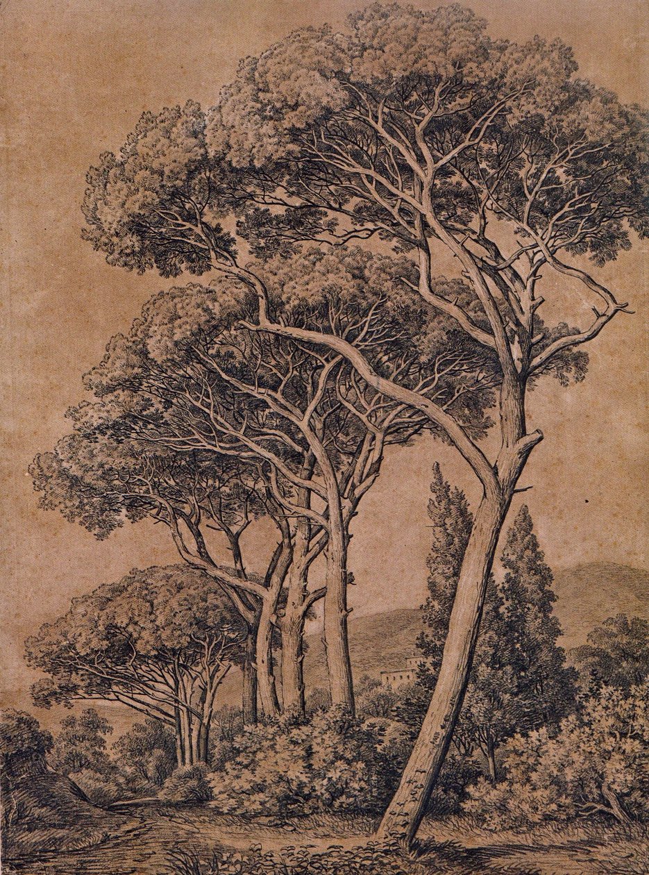 J C Reinhart Pinheiros mansos 1791 de Johann Christian Reinhart