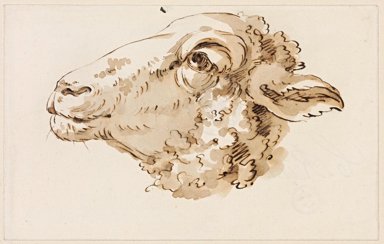 Cabeça de uma ovelha virada para a esquerda de Johann Christian Reinhart