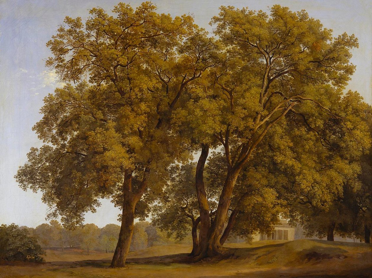 Árvores nos Jardins da Villa Borghese de Johann Christian Reinhart