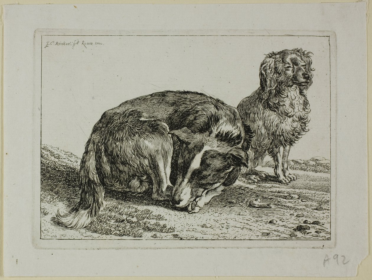 Dois cães descansando, de Die Zweite Thierfolge de Johann Christian Reinhart