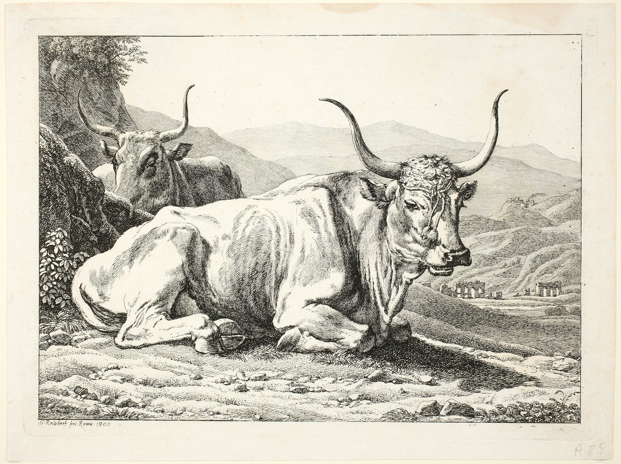 Dois touros romanos descansando, de Die Zweite The Erfolge de Johann Christian Reinhart