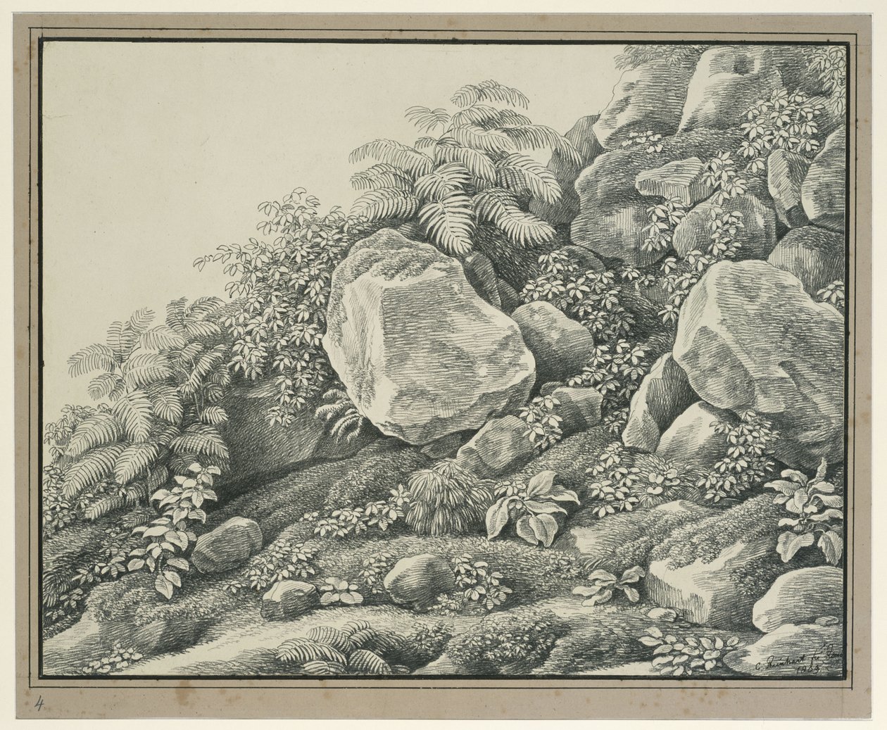 Estudo de primeiro plano: rochedos, arbustos, fetos e plantas de folhagem de Johann Christian Reinhart