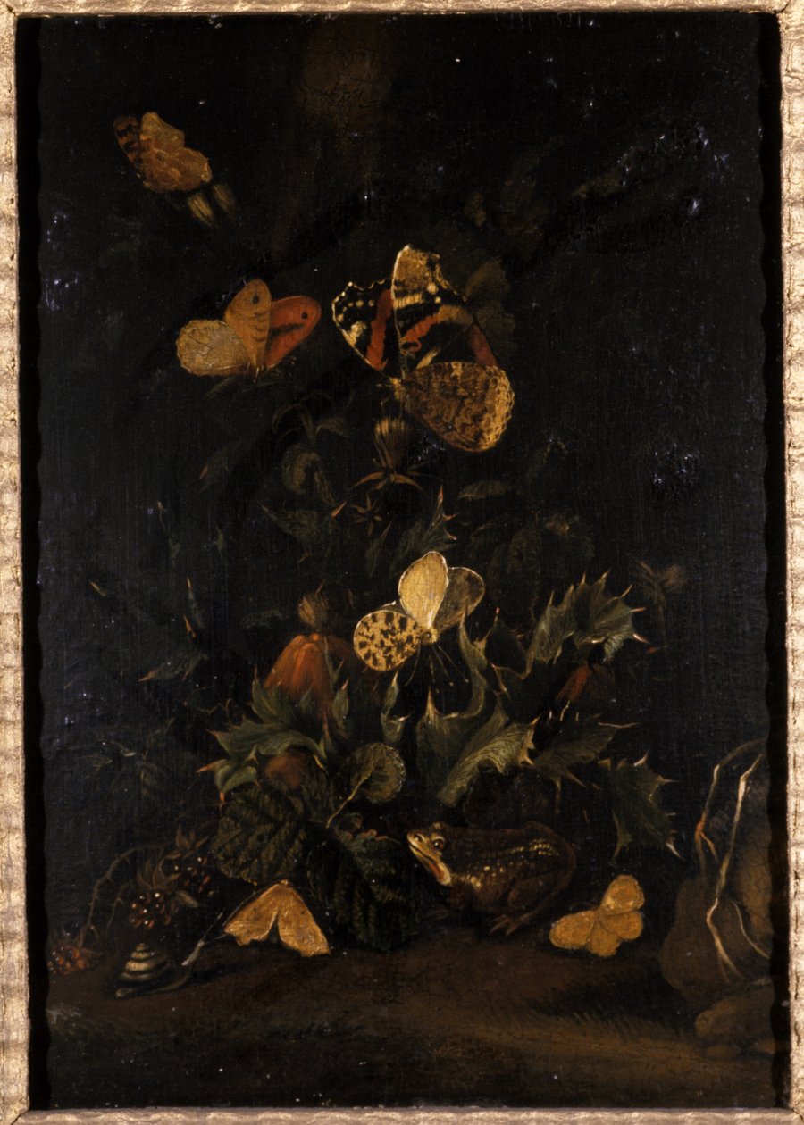 Flores com borboletas e sapo (óleo sobre madeira de carvalho) de Johann Christian Thomas Winck
